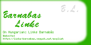 barnabas linke business card